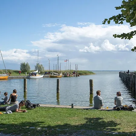 Haubenlerche 62 Fuhlendorf (Mecklenburg-Vorpommern)