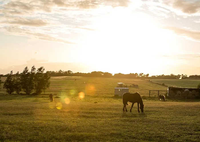 Haubenlerche 62 Дом отдыха