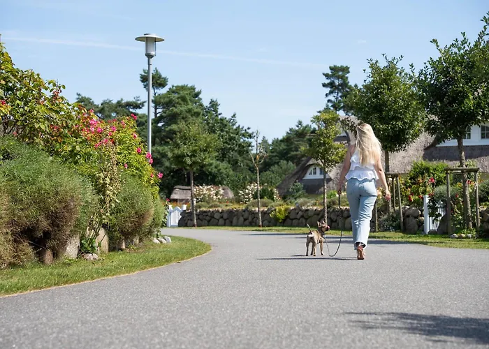 Дом отдыха Haubenlerche 62 Fuhlendorf (Mecklenburg-Vorpommern)